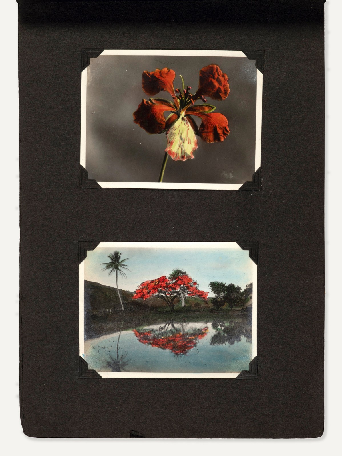 1910s-40s Photo Album with 174 Hand-Colored Silver Print Photos of Hawaii 1910s-40s Photo Album with 174 Hand-Colored Silver Print Photos of Hawaii