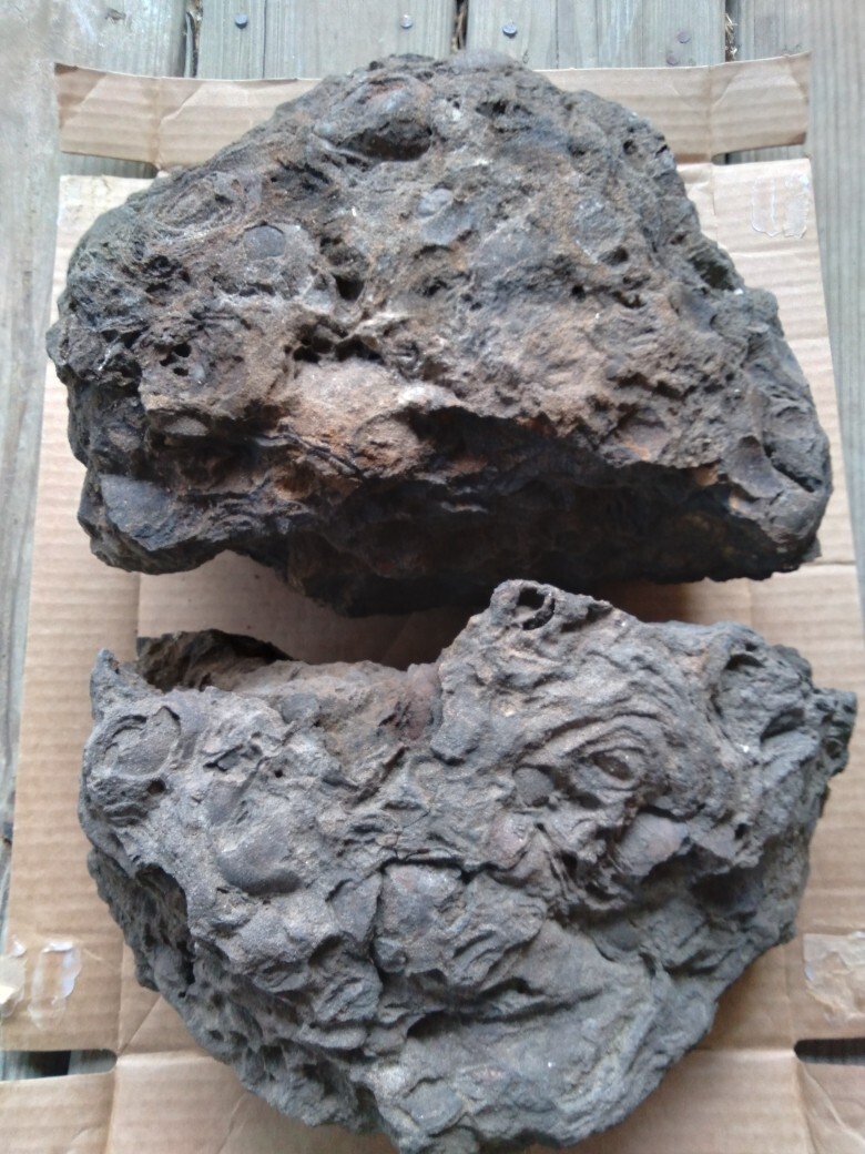rock fossil mineral specimens lot rock fossil mineral specimens lot