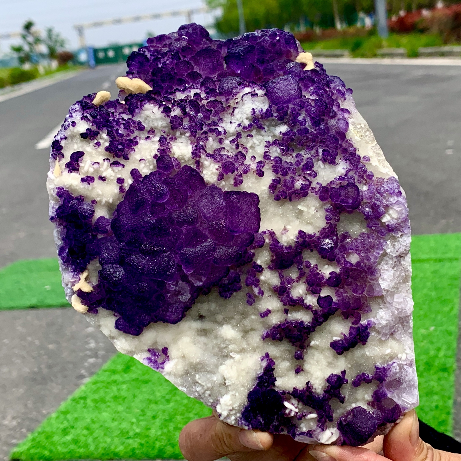 3.2LB RareTransparent purple Cube Fluorite Mineral Crystal Specimen/China