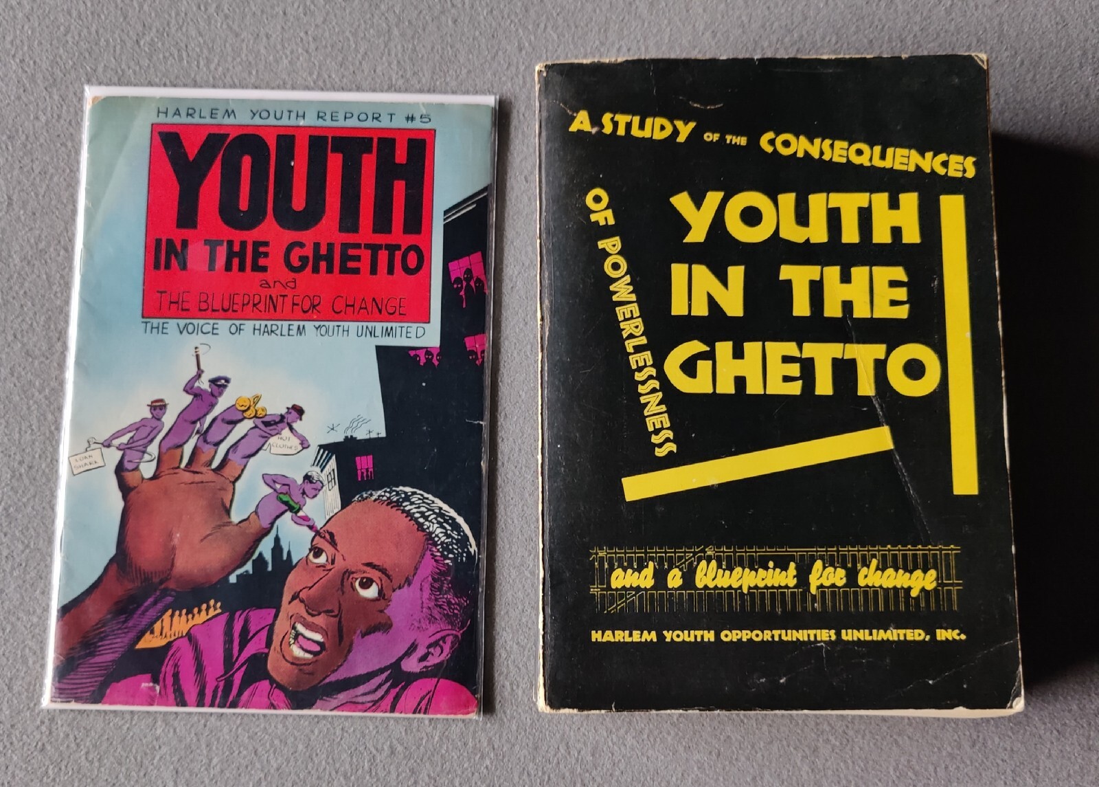 Harlem Youth Report #5 and The Manual Very Rare Haryou 1965 Harlem Youth Report #5 and The Manual Very Rare Haryou 1965