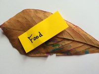 kids' crafts