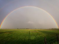 rainbow-activity